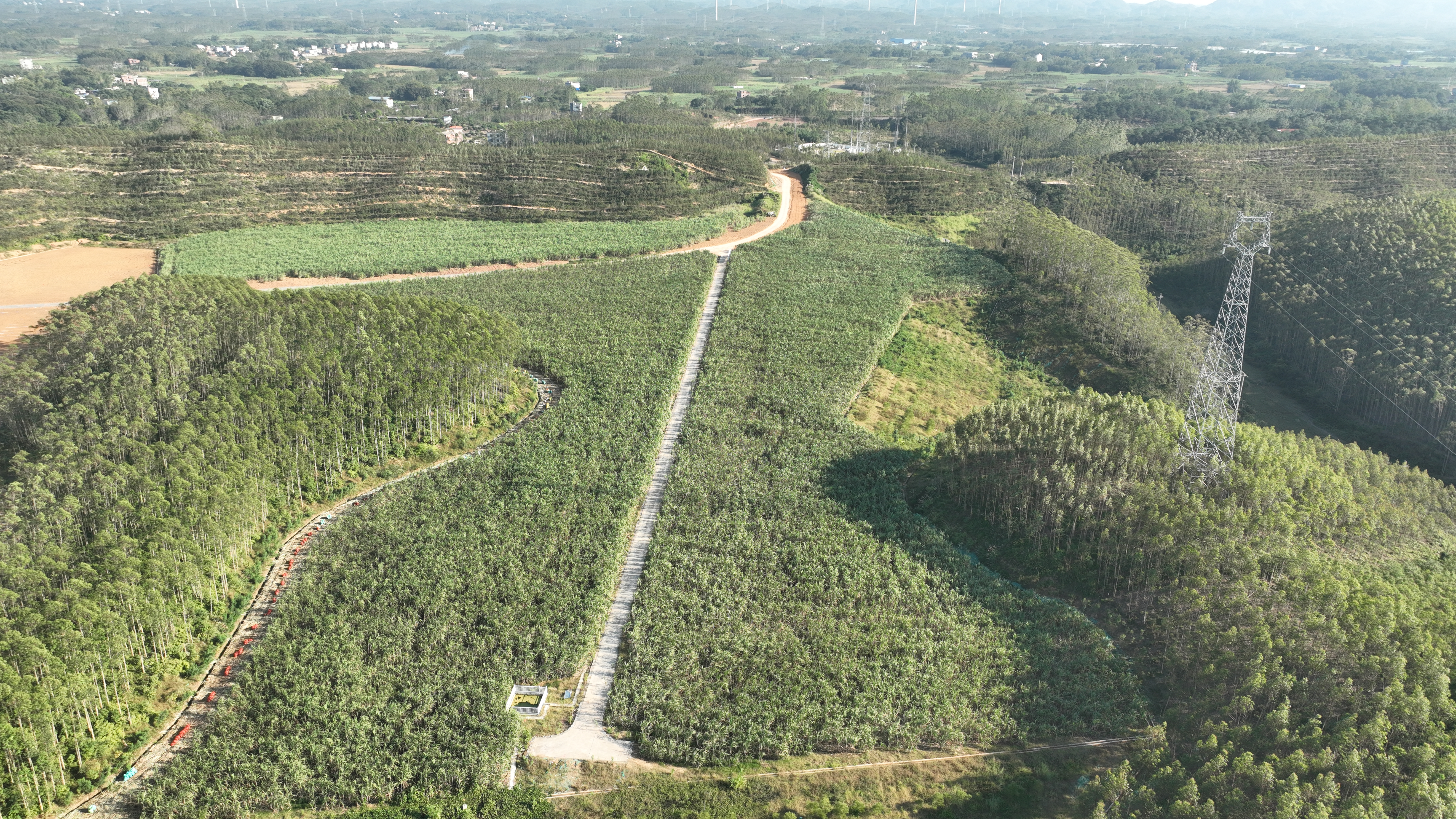 平陆运河项目抬填造地示范点.jpg